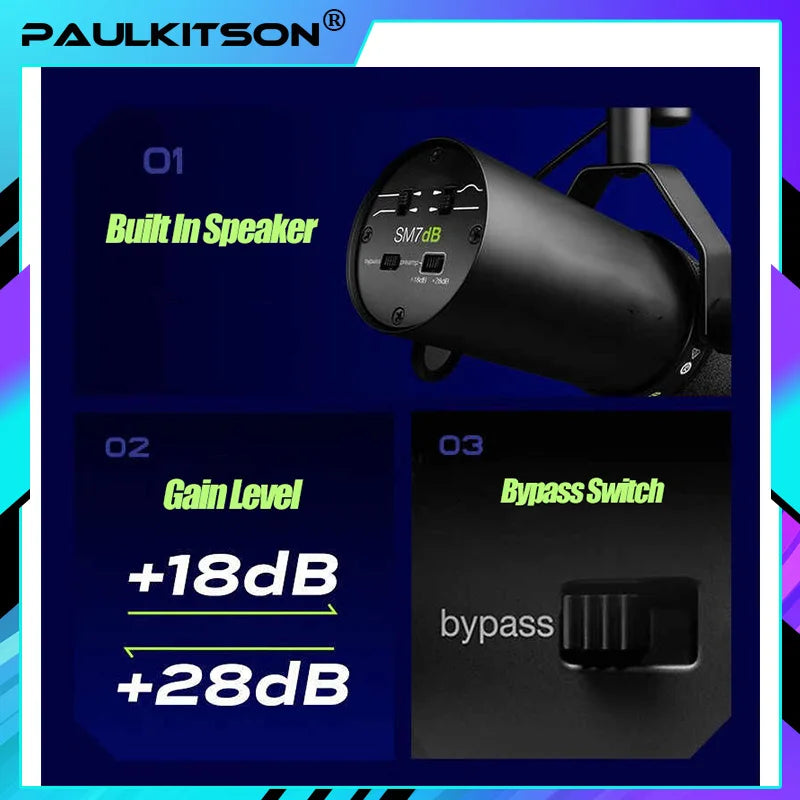 microphone professionel
