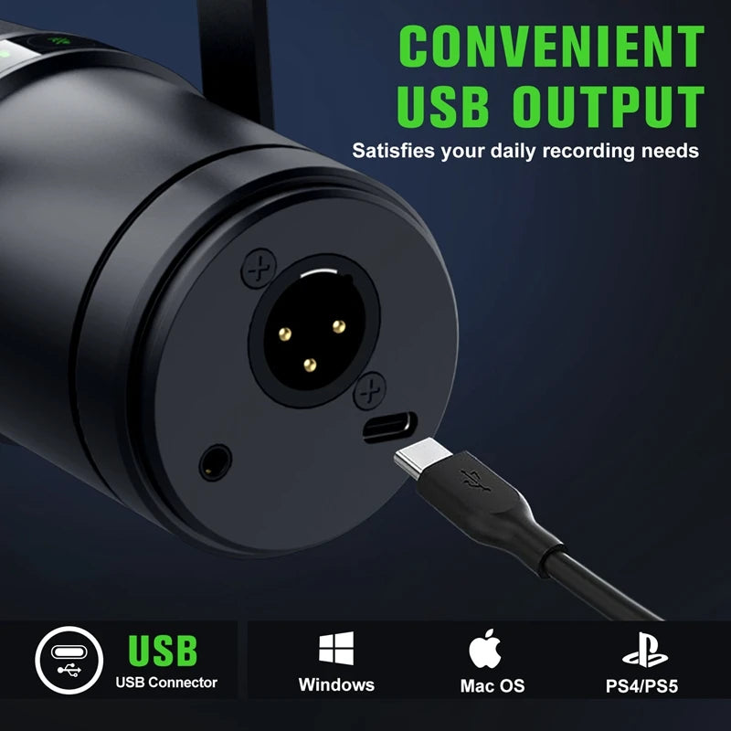 Professional Dynamic Microphone