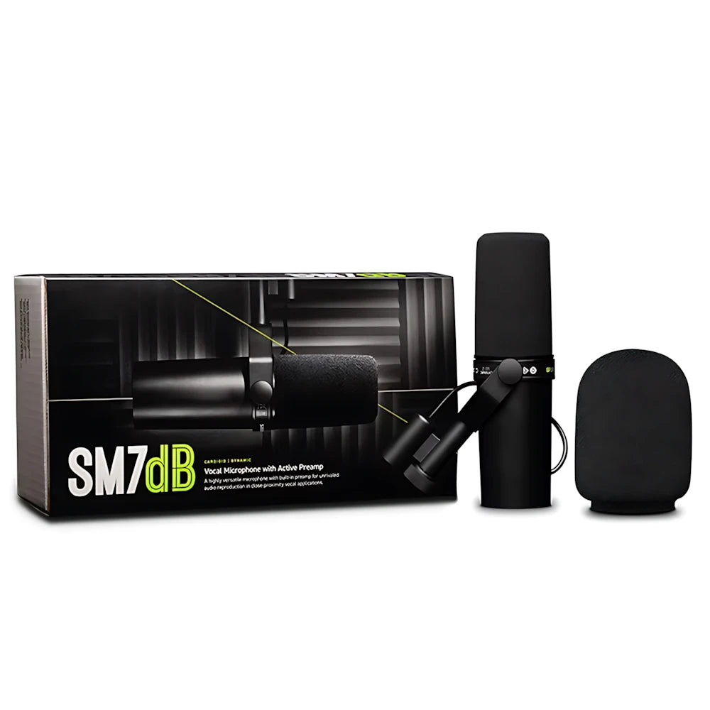 microphone professionel