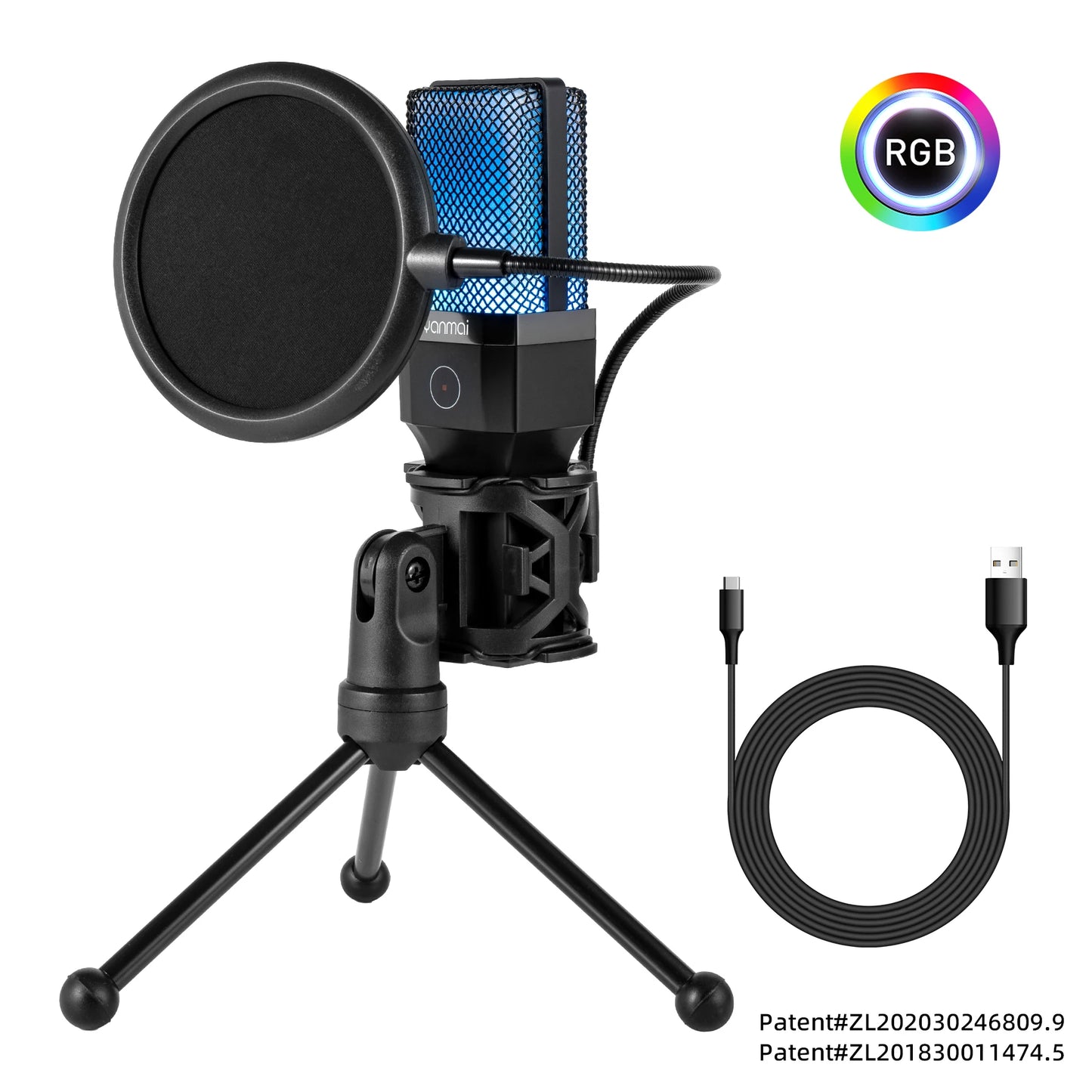 Microphone Professional