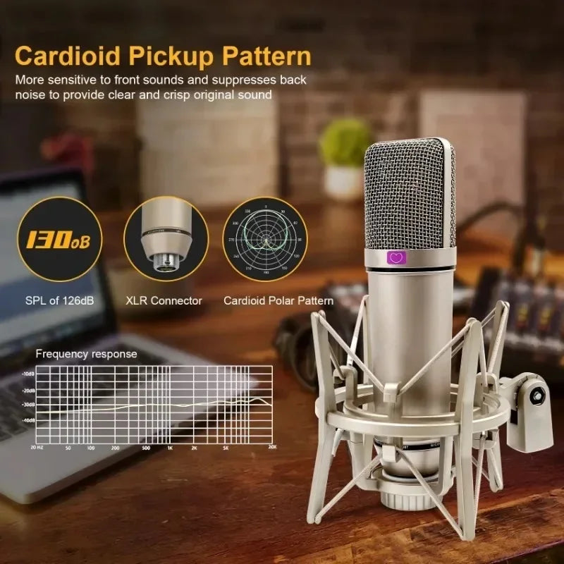 U87 XLR Condenser Microphone Professional Cardioid Studio Mic for Recording Podcasting Voice Over Streaming Home Studio