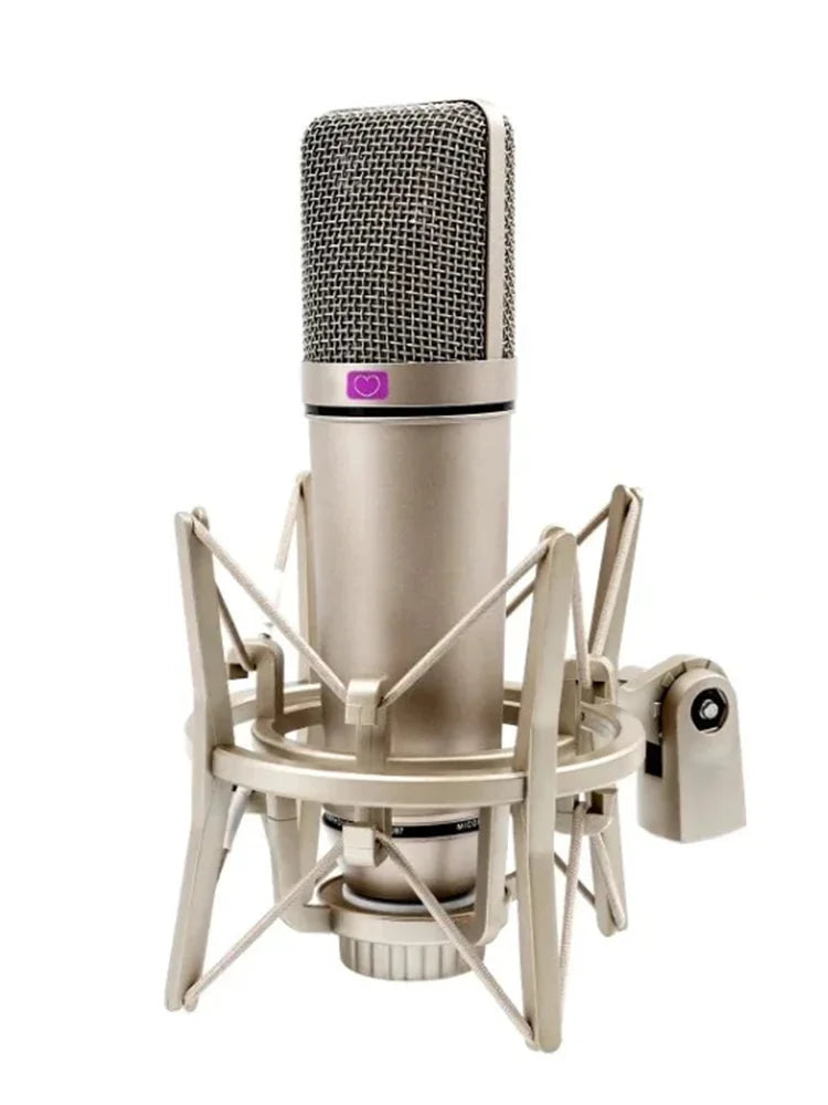U87 XLR Condenser Microphone Professional Cardioid Studio Mic for Recording Podcasting Voice Over Streaming Home Studio